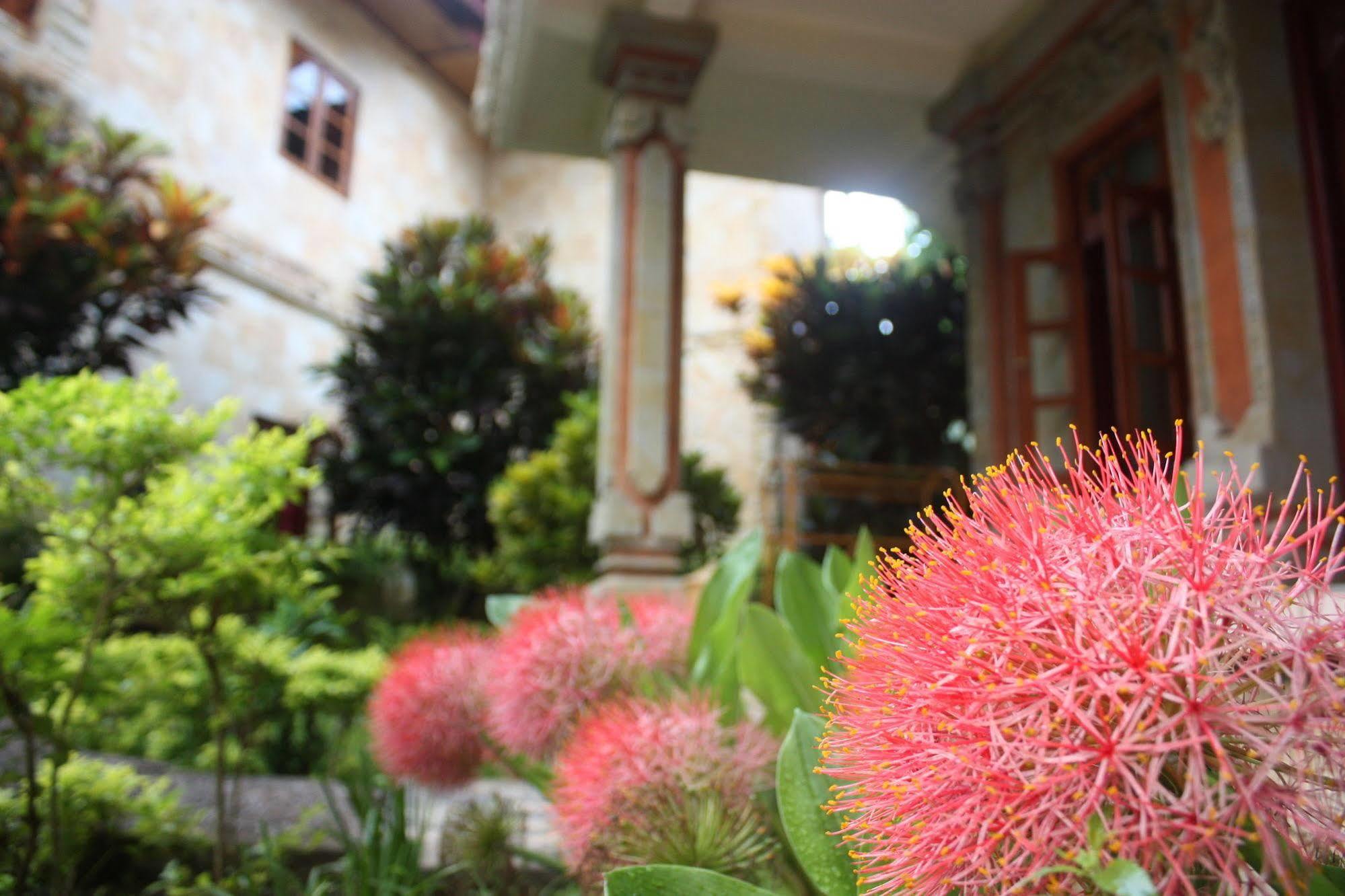 Rambutan Boutique Hotel Lovina Zewnętrze zdjęcie